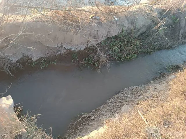 VENTA DE TERRENO AGRÍCOLA EN EL SECTOR CASA BLANCA ESTE - TUPAC AMARU DISTRITO DE SAN LUIS PROVINCIA DE CAÑETE - 5