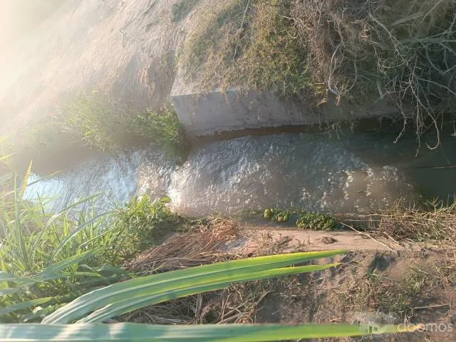 VENTA DE TERRENO AGRÍCOLA EN EL SECTOR CASA BLANCA ESTE - TUPAC AMARU DISTRITO DE SAN LUIS PROVINCIA DE CAÑETE - 7