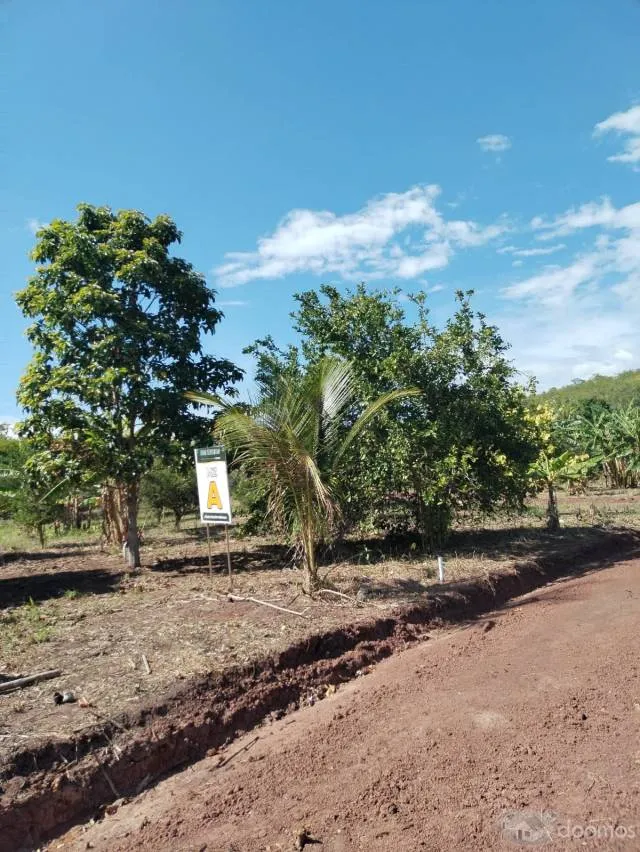 PRE-VENTA DE LOTES URBANOS EN TARAPOTO A 1MINUTO DE AVENIDA PRINCIPAL BELAUNDE TERRY — foto 4