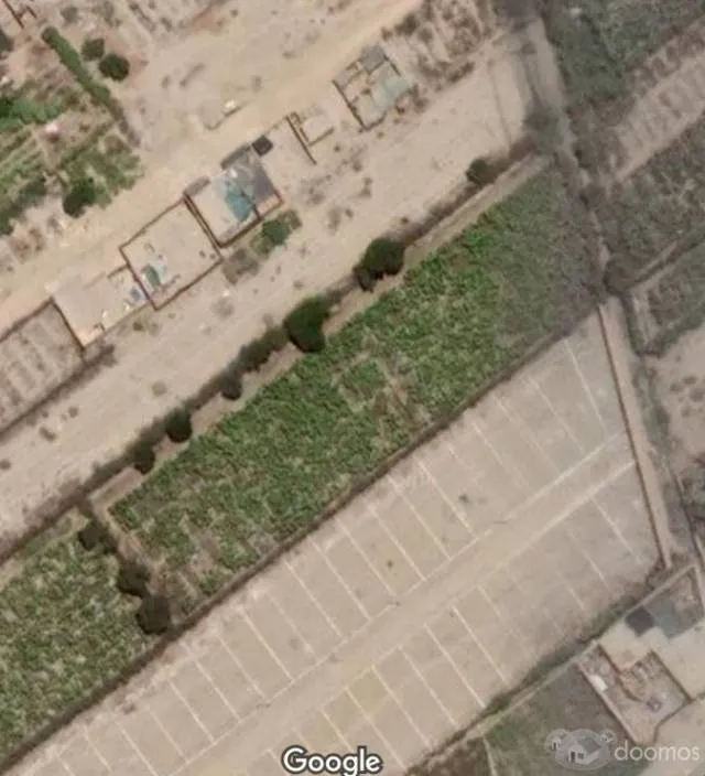 Venta de Terreno 3400M2, tiene viñedos, Grocio Prado, Chincha — foto 5