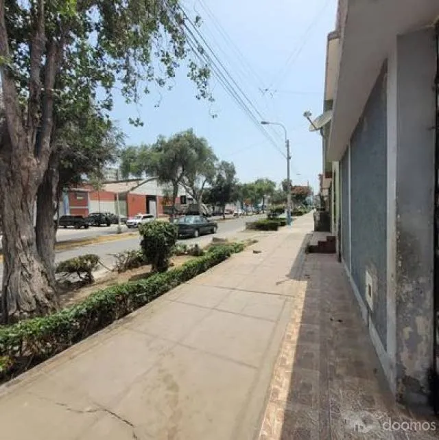casa con negocio en plena avenida altamente comercial — foto 3