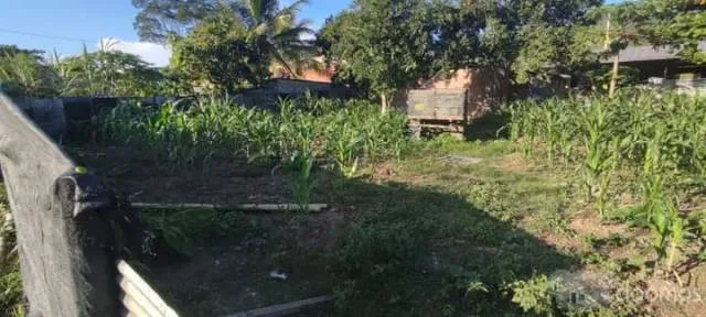 PRECIO NEGOCIABLE - Venta de 2 lotes POR OCASIÓN - Unión Capiri - Rio Negro - Satipo - 2