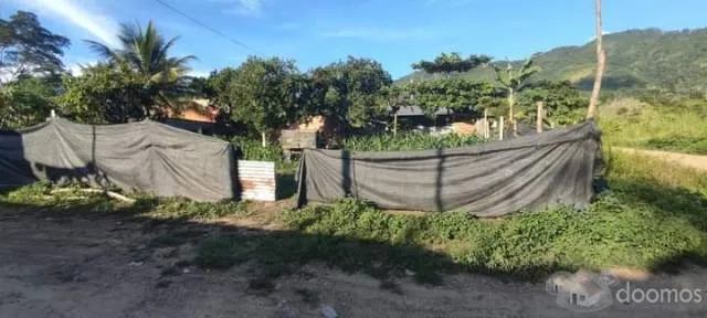 PRECIO NEGOCIABLE - Venta de 2 lotes POR OCASIÓN - Unión Capiri - Rio Negro - Satipo - 4