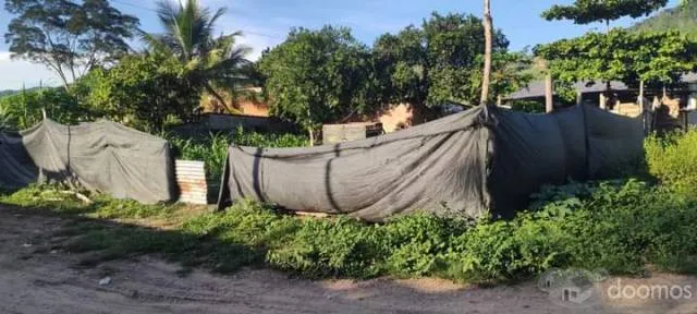 PRECIO NEGOCIABLE - Venta de 2 lotes POR OCASIÓN - Unión Capiri - Rio Negro - Satipo - 5