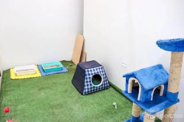 Bella y moderna casa ubicada cerca al Óvalo Santa Elena — foto 5