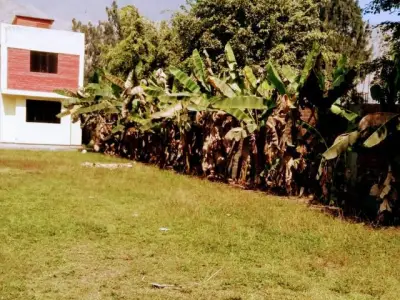 CASA DE CAMPO - CIENEGUILLA