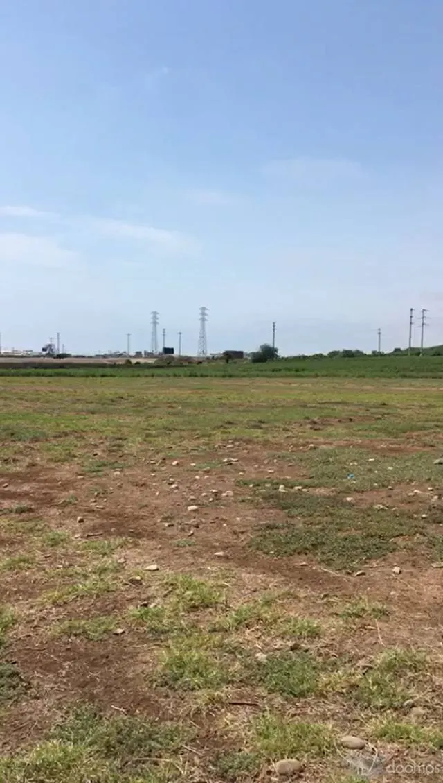Vendo Terreno de 2.5 Hectareas en Chincha — foto 1