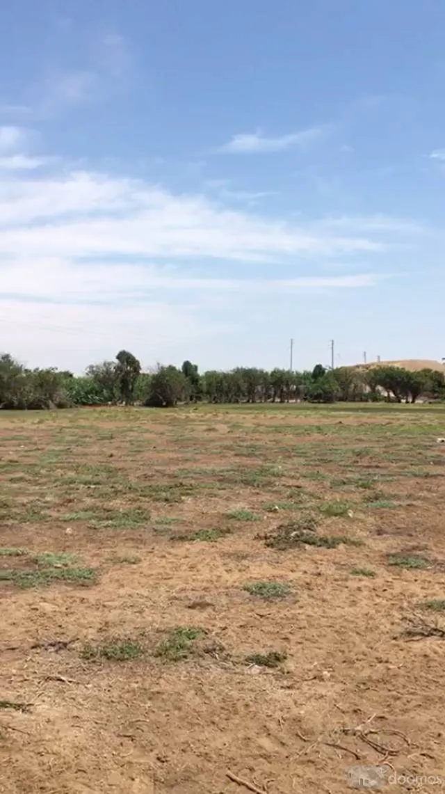 Vendo Terreno de 2.5 Hectareas en Chincha — foto 2