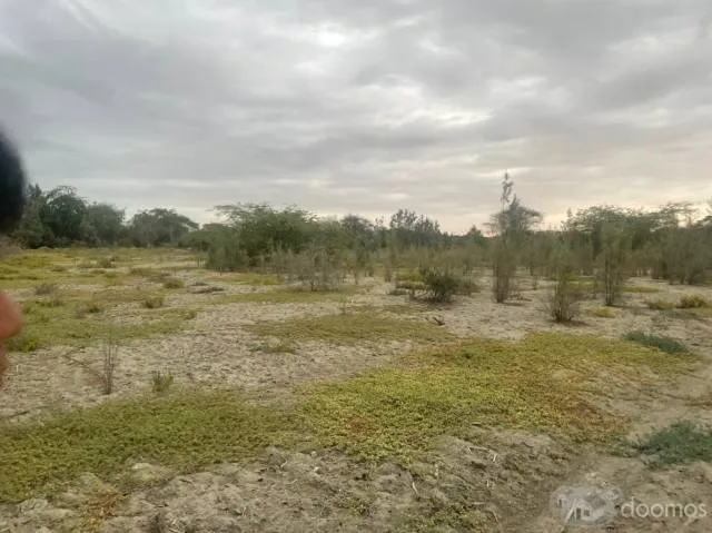 VENTA DE TERRENO EN CIENEGUILLO SUR - 3