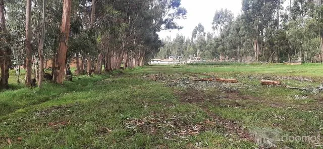 Venta De Terreno En Concepción 6425 M2 - 2