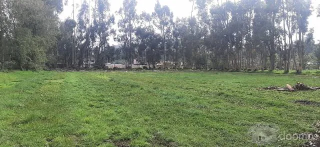 Venta De Terreno En Concepción 6425 M2 - 3