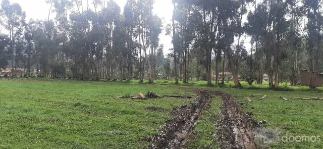 Venta De Terreno En Concepción 6425 M2 - 4
