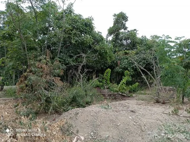 venta de terreno - 1