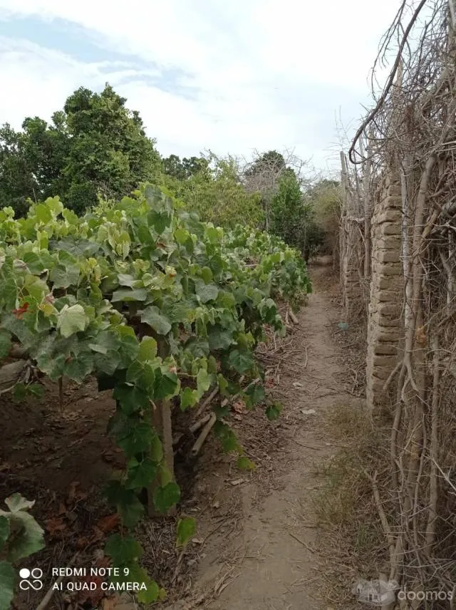 venta de terreno - 3