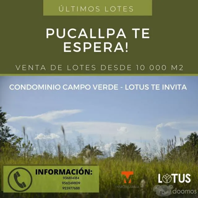 OCASIÓN: SE VENDE LOTE DE 10 000 M2 EN PUCALLPA — foto 4