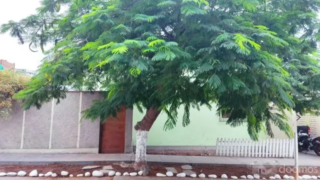 Vendo Propiedad en Salamanca (Casa o Terreno). Trato directo — foto 2