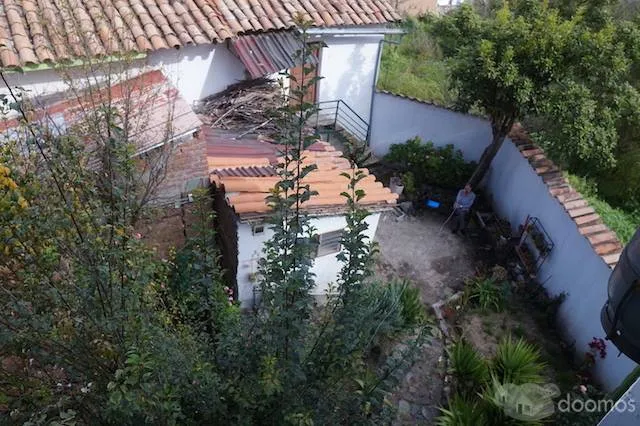 INMUEBLE CON 3 DEPARTAMENTOS Y UNA CASA INDEPENDIENTES NEGOCIO AIRBNB - 5