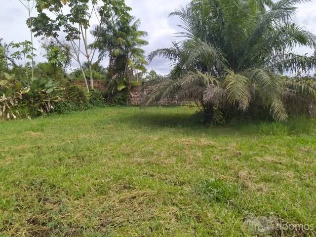 REMATO TERRENOS 1700 MTS EN IQUITOS - 4
