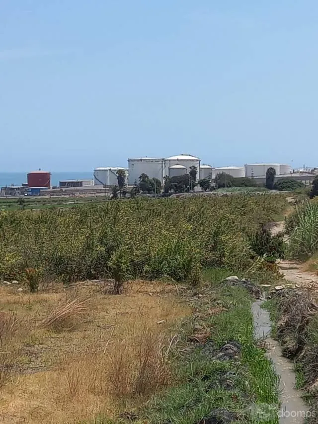 El Terreno en venta, se encuentra ubicado frente a la playa albatros al costado de la ciudad de Mollendo. - 5