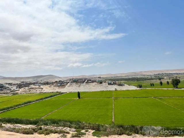 TERRENO AGRICOLA ARROCERO Y PARA TODO TIPO DE SIEMBRA - 2