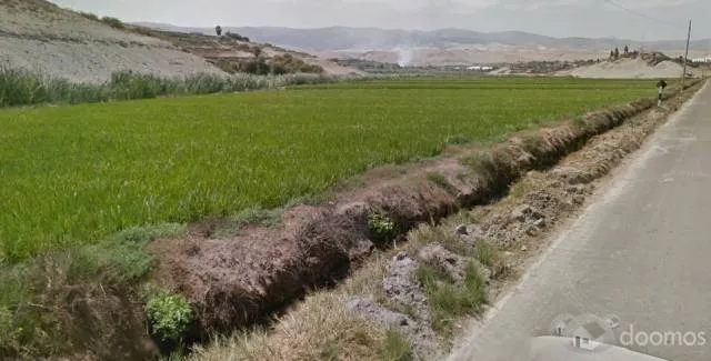 TERRENO AGRICOLA ARROCERO Y PARA TODO TIPO DE SIEMBRA - 6