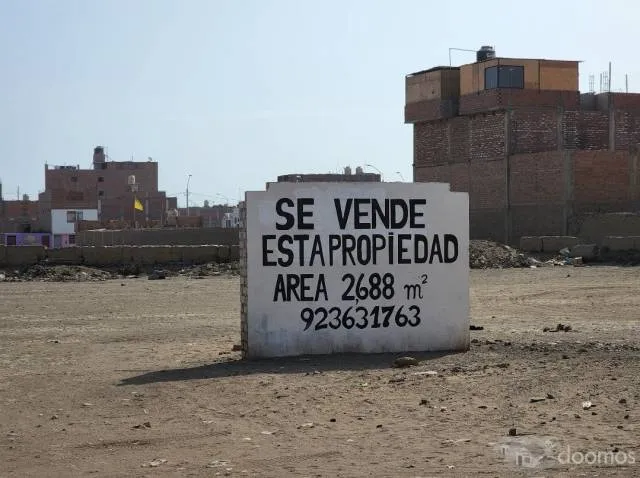 VENTA TERRENO HUACHO 2688 M2 Y 5000 M2 — foto 3