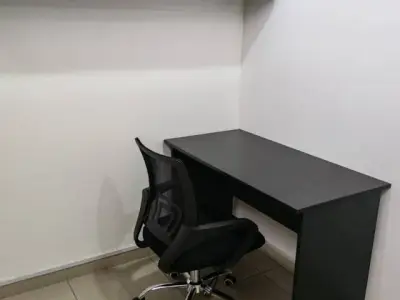 Miniatura 9