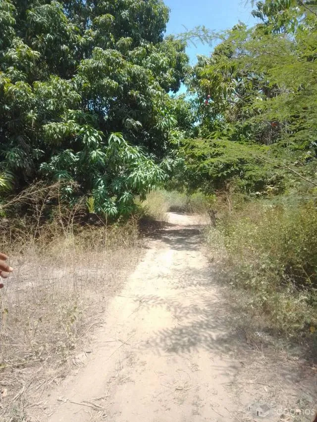 Venta de parcela cerca a Malingas - 4