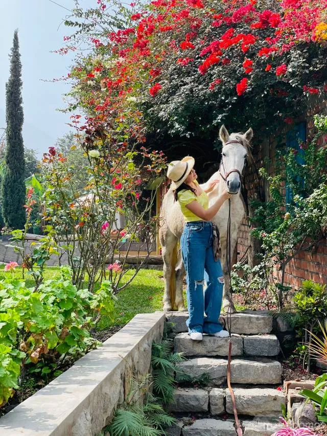 Promoción Desconéctate por el día del trabajo Cerro Alto Casa de Campo Boutique - 6