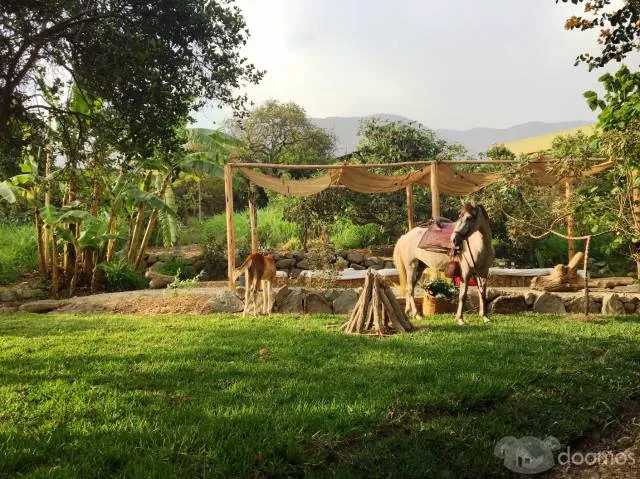 Promoción Desconéctate por el día del trabajo Cerro Alto Casa de Campo Boutique - 7