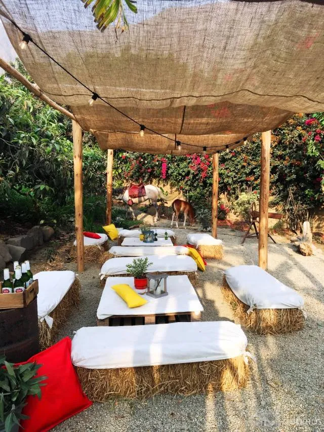 Promoción Desconéctate por el día del trabajo Cerro Alto Casa de Campo Boutique - 8