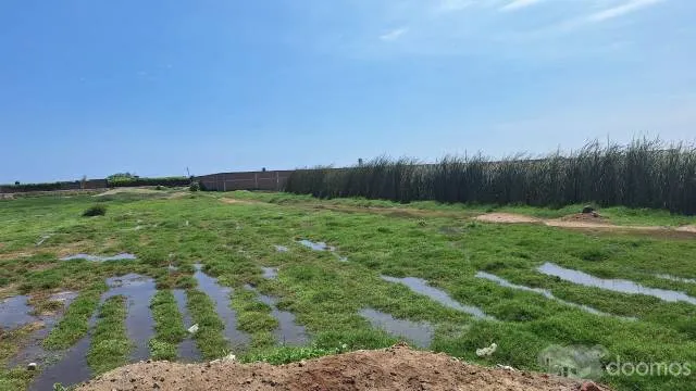 SE VENDE TERRENO EN MOCHE- Excelente Oportunidad — foto 2