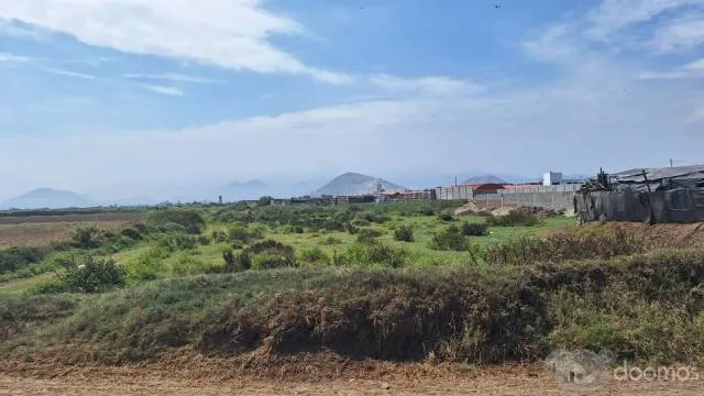 SE VENDE TERRENO EN MOCHE- Excelente Oportunidad — foto 3