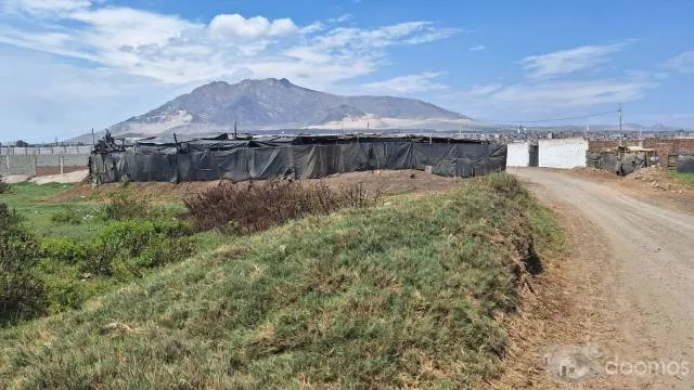 SE VENDE TERRENO EN MOCHE- Excelente Oportunidad — foto 6