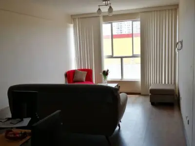 Miniatura 9