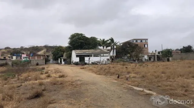 Alquilo - Vendo Local Industrial 8,177m2 en La Cruz, Tumbes - 2