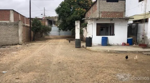 Alquilo - Vendo Local Industrial 8,177m2 en La Cruz, Tumbes - 3