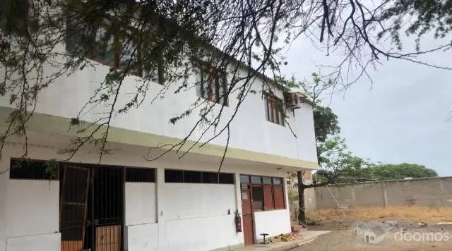 Alquilo - Vendo Local Industrial 8,177m2 en La Cruz, Tumbes - 4