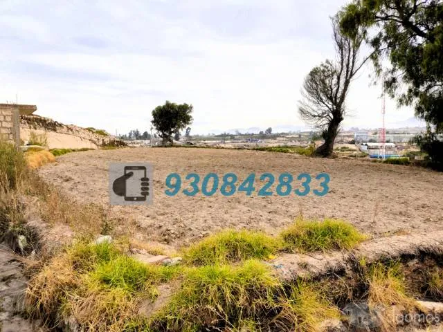 VENDO TERRENO COMO ACCIONES Y DERECHOS EN EL LATERAL 3, BAJO CURAL LOTE 222B - TIABAYA - 3