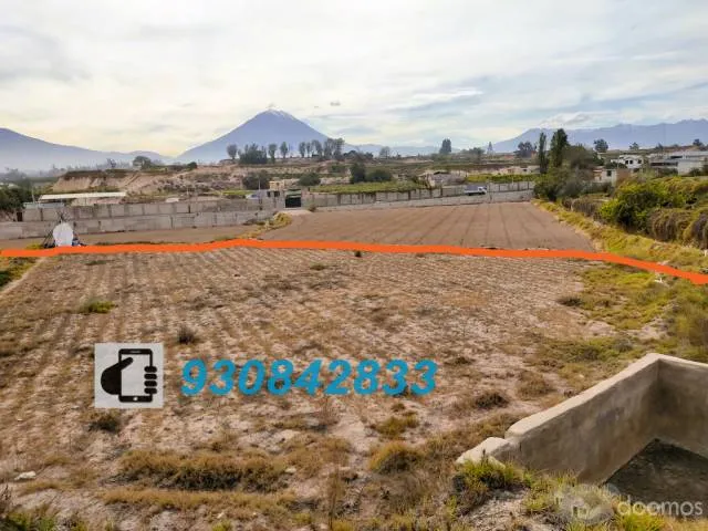 VENDO TERRENO COMO ACCIONES Y DERECHOS EN EL LATERAL 3, BAJO CURAL LOTE 222B - TIABAYA - 5