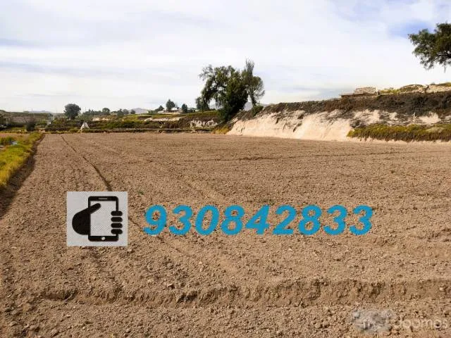 VENDO TERRENO COMO ACCIONES Y DERECHOS EN EL LATERAL 3, BAJO CURAL LOTE 222B - TIABAYA - 7
