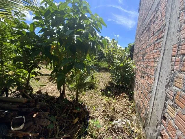 ALQUILER CASA-OFICINA-TERRENO EN IQUITOS/ A UNOS PASOS DE PLAZA MÚNICH - 1