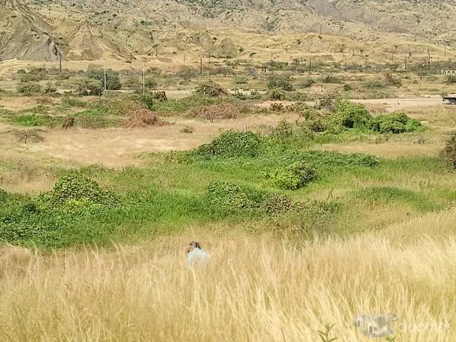 vendo terreno ubicado en el ñuro los organos - 2