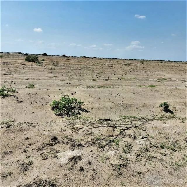 TERRENO EN VENTA DE 1600 HECTAREAS EN MORROPE - 2
