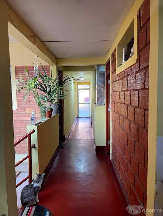 Edificio de 4 Pisos en El Centro Historico de Chachapoyas - 7
