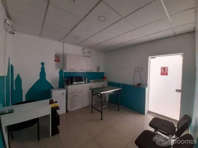 Se alquila Local Comercial San Isidro — foto 5