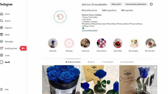 Traspaso delirium flores y detalles - tienda on line - 3