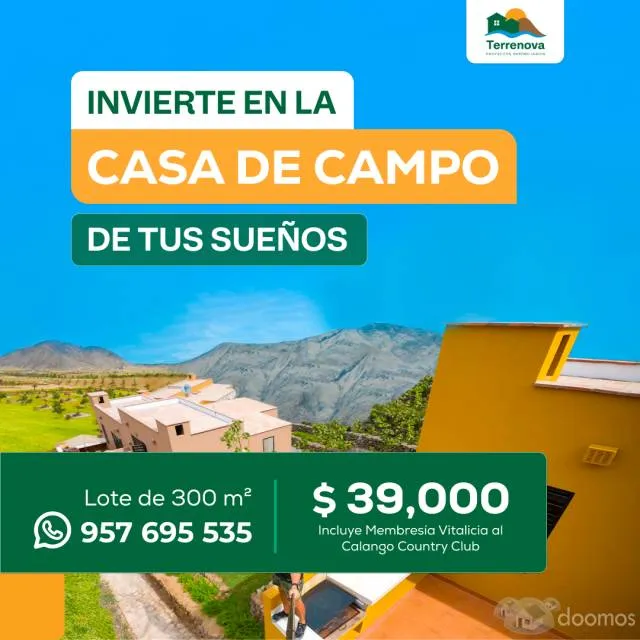 ÚLTIMO TERRENO DE 300 M2 EN CALANGO DISPONIBLE — foto 6