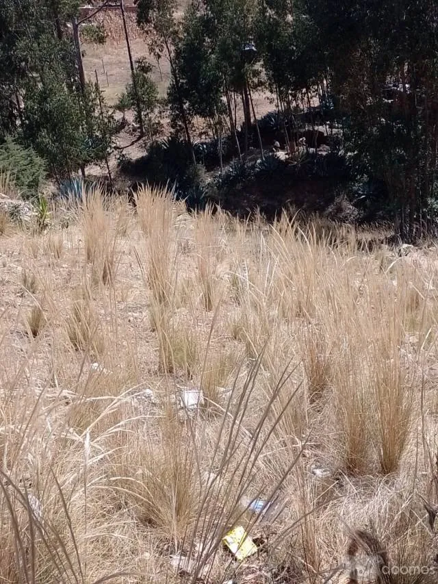 Venta de Terreno — foto 3