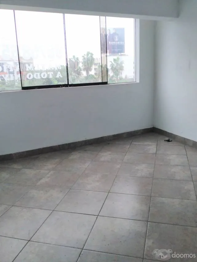 ALQUILO OFICINA EN TRIGAL - SURCO - 4